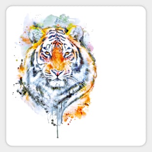 Handsome Tiger Head Portrait Magnet